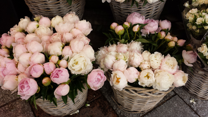 promotional_flowers_small